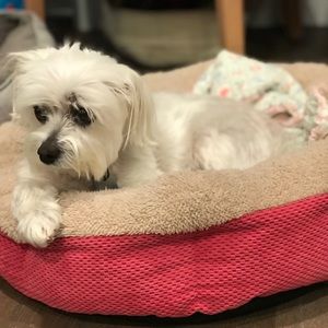 Meet your Posher, Erina